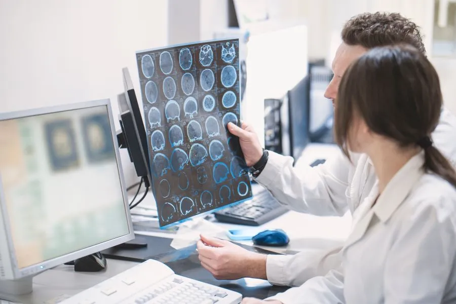 scientists checking brain MRI